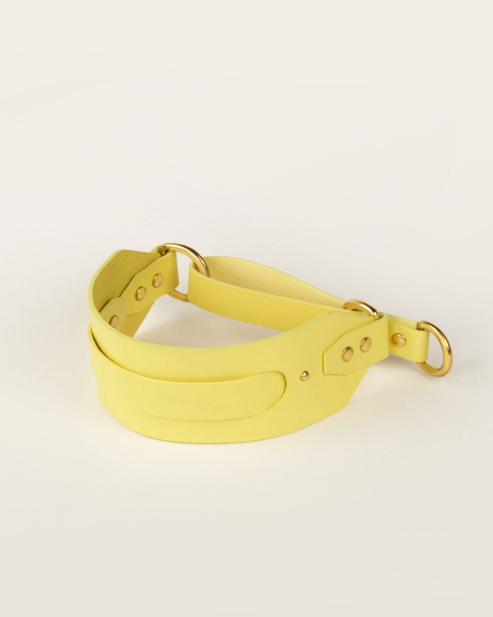 Greyhound Collar · Yellow