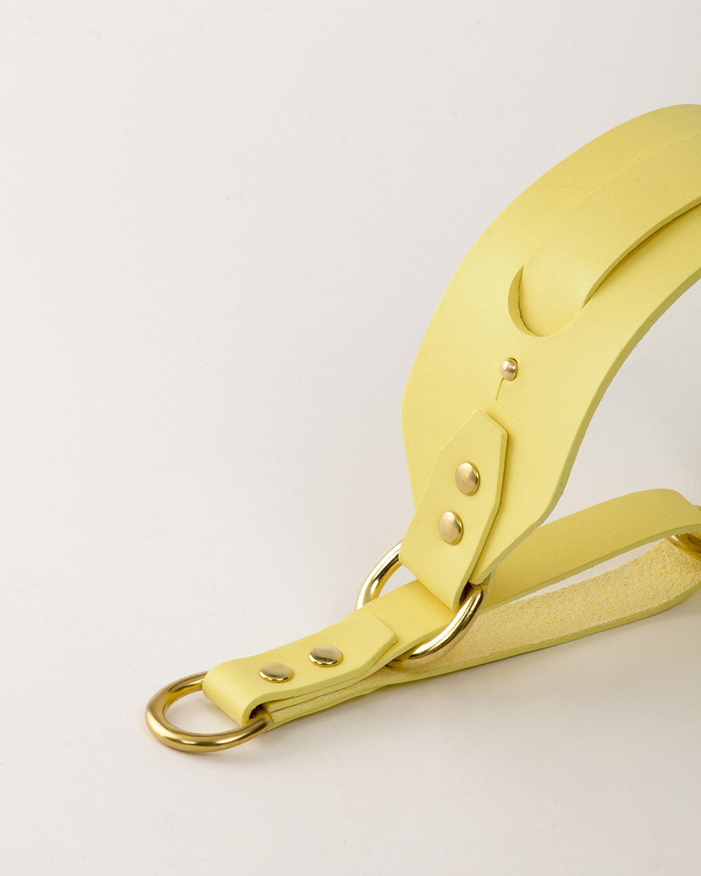 Greyhound Collar · Yellow