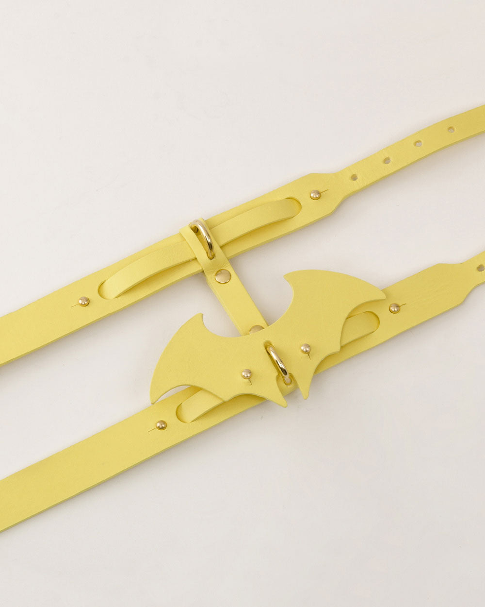 Wings · dog collar or harness · yellow leather · INDÓMITO