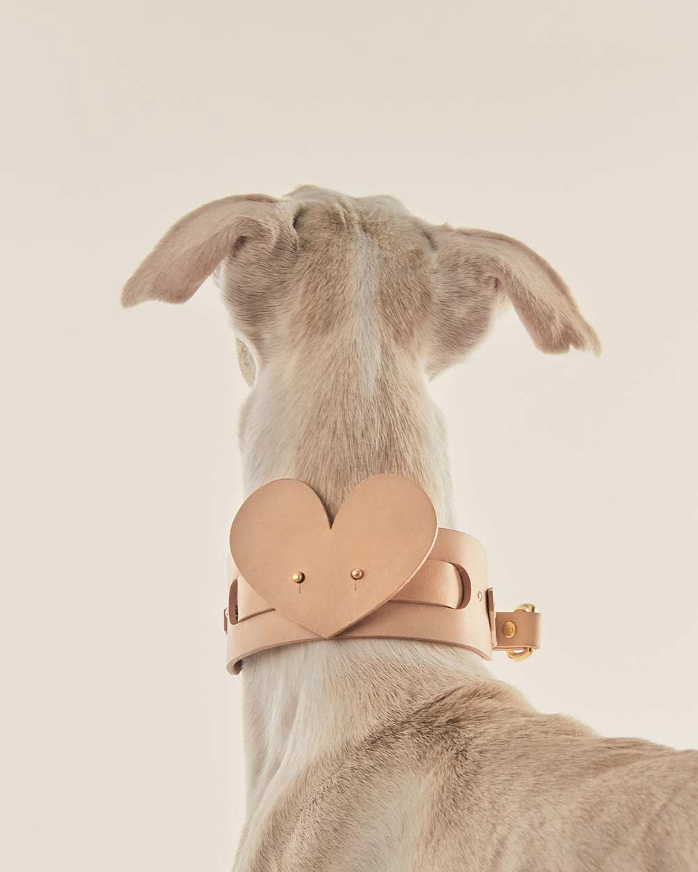 Heart dog collar or harness nude leather INDÓMITO
