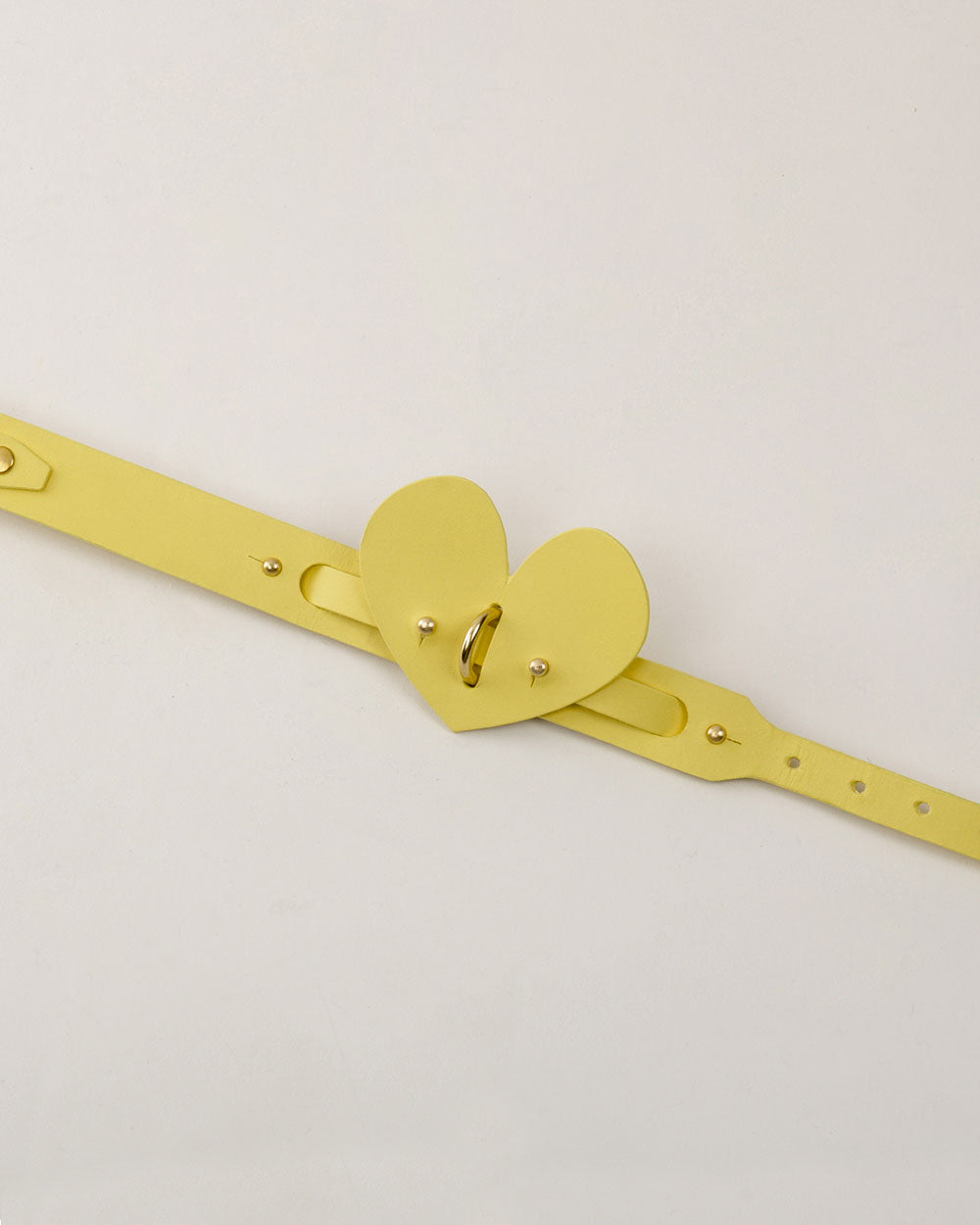 Heart · dog collar or harness · yellow leather · INDÓMITO