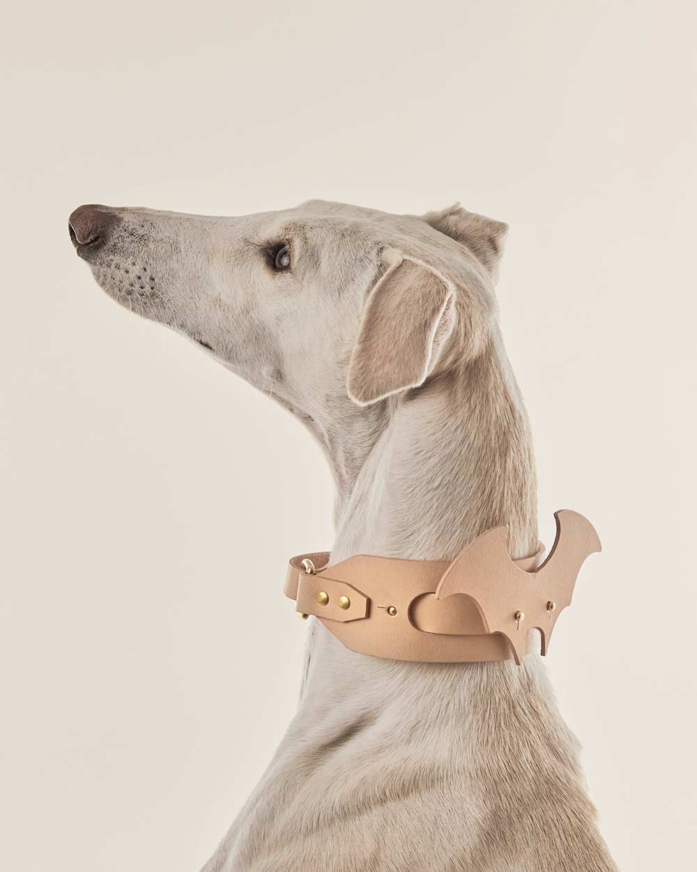 Wings · dog collar or harness · nude leather · INDÓMITO