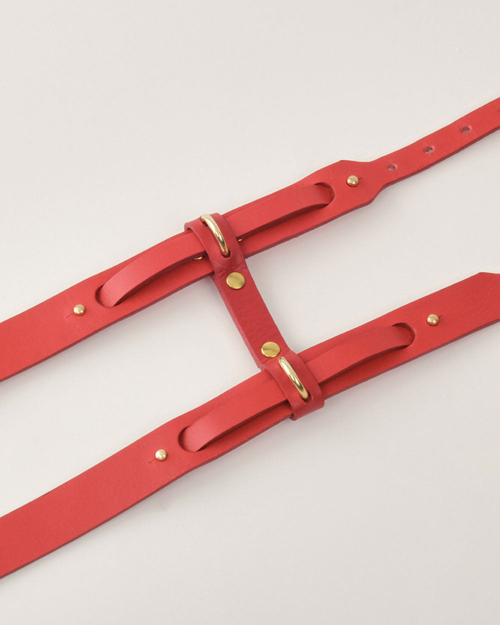 Dog harness · red leather · INDÓMITO