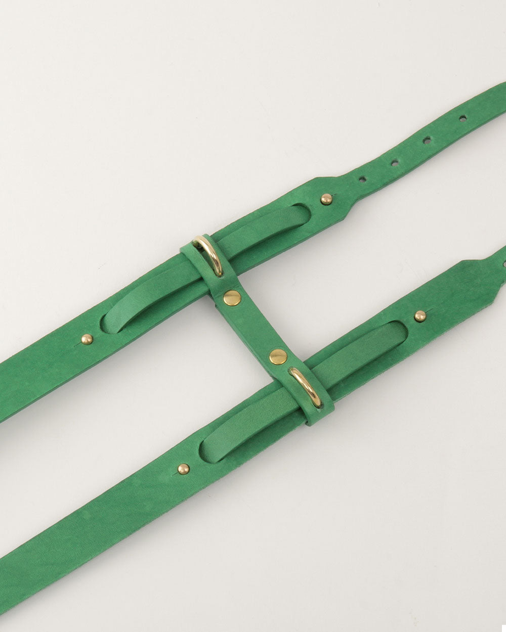 Dog harness · green leather · INDÓMITO