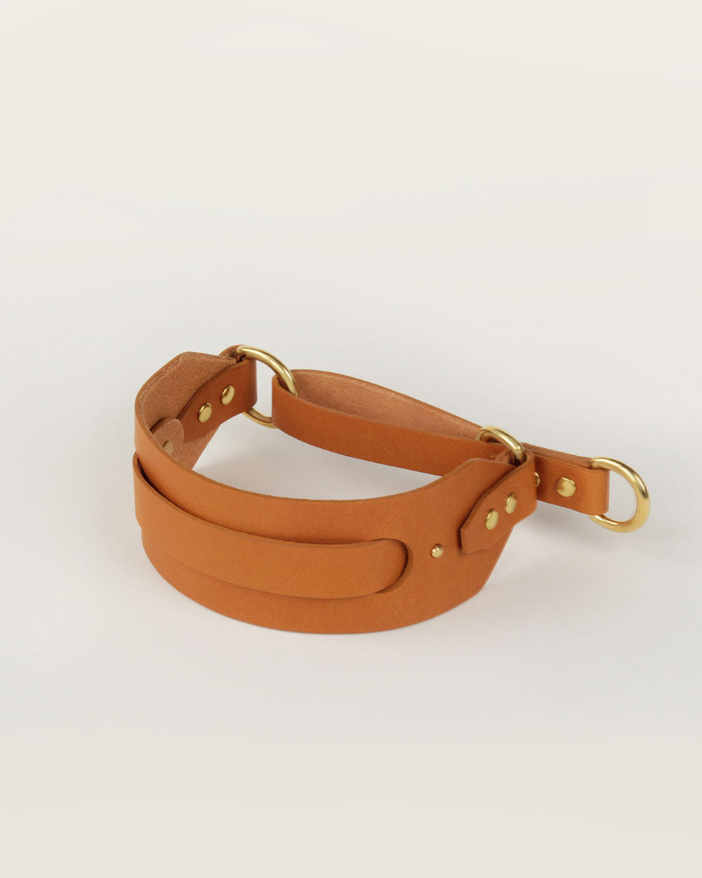 Greyhound collar · camel leather · INDÓMITO