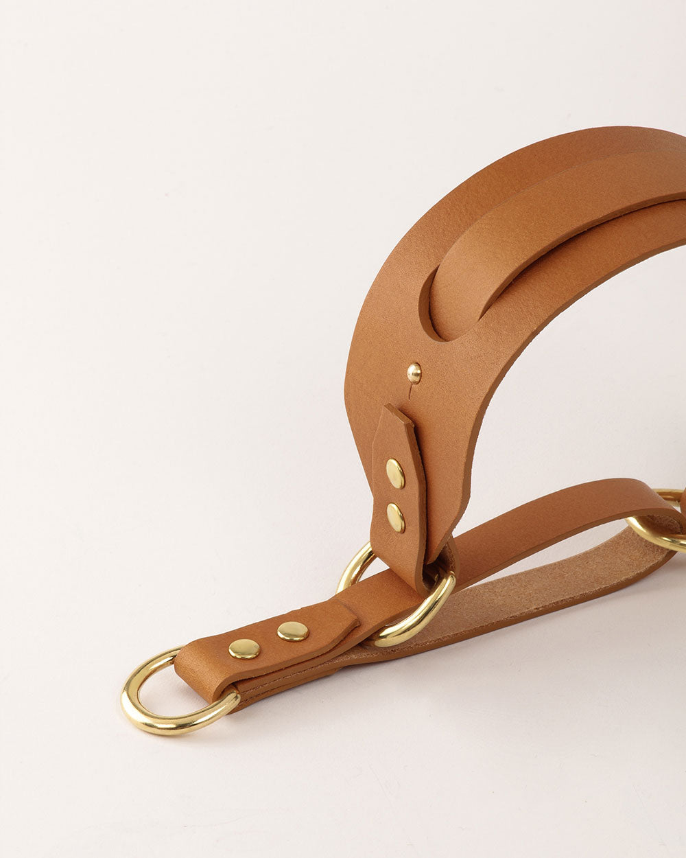 Greyhound collar · camel leather · INDÓMITO