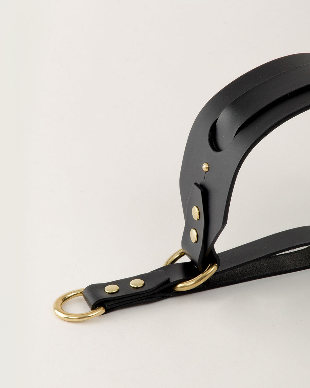 Greyhound collar · black leather · INDÓMITO
