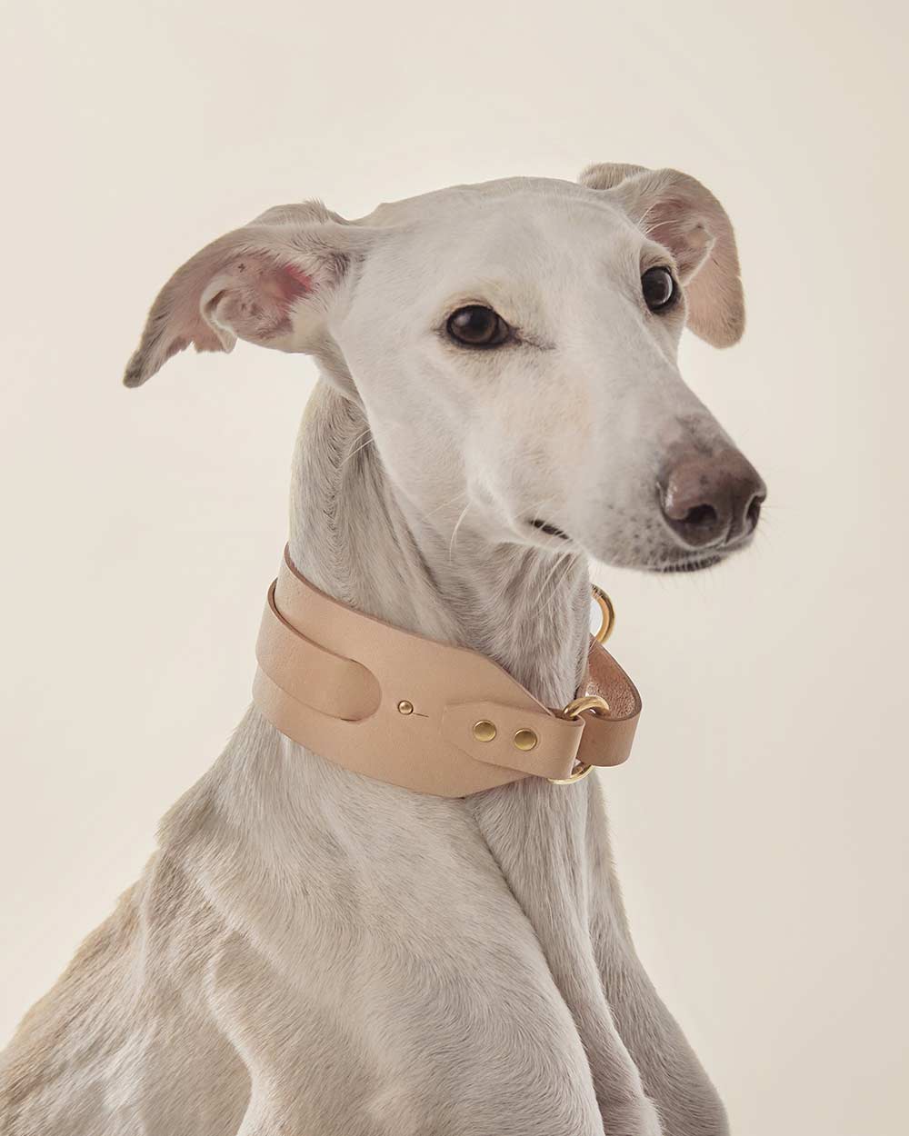 Greyhound collar · nude leather · INDÓMITO