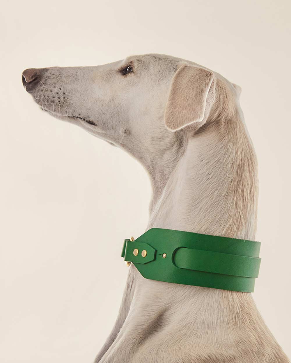 Greyhound collar · green leather · INDÓMITO