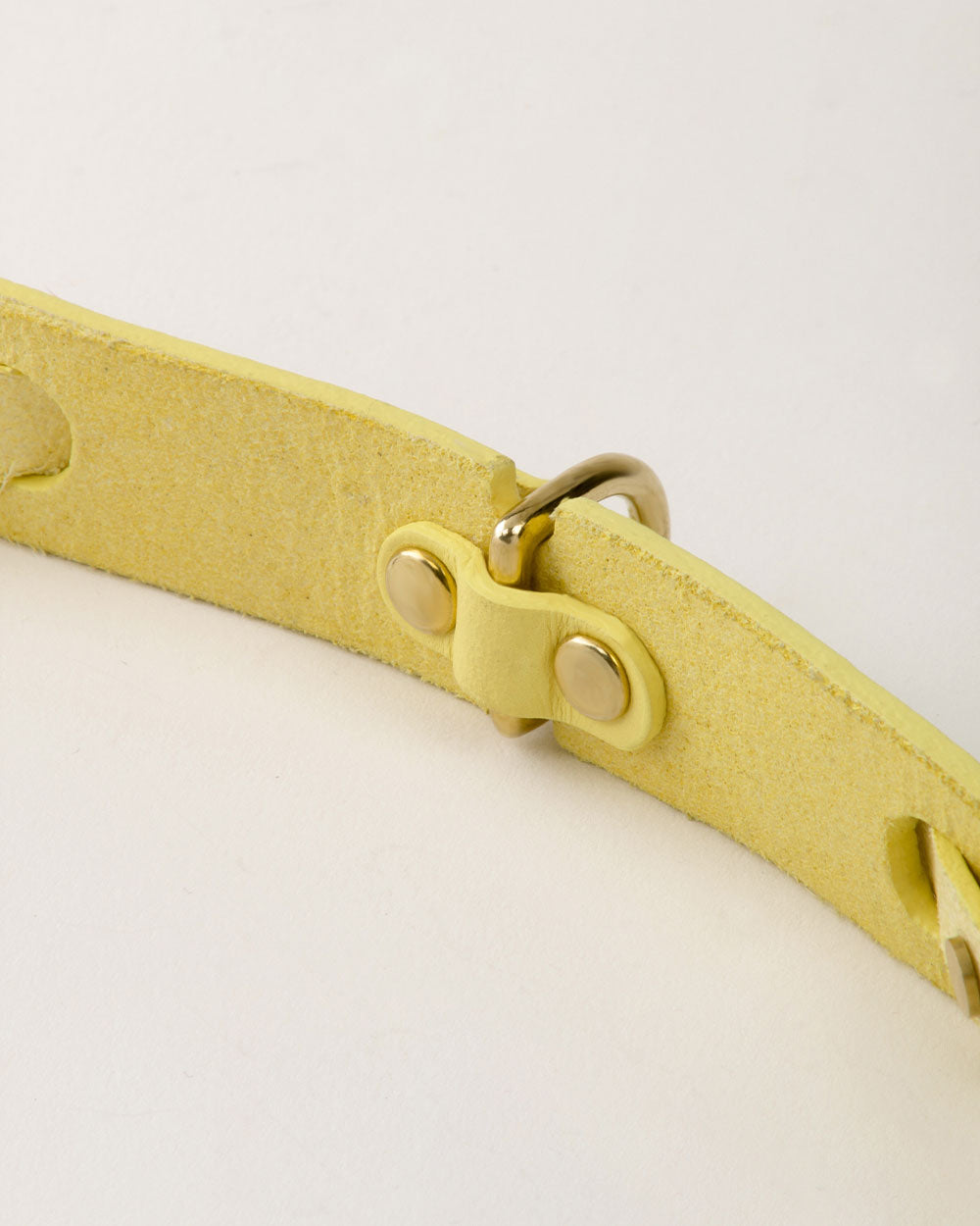 Dog collar · yellow leather · INDÓMITO