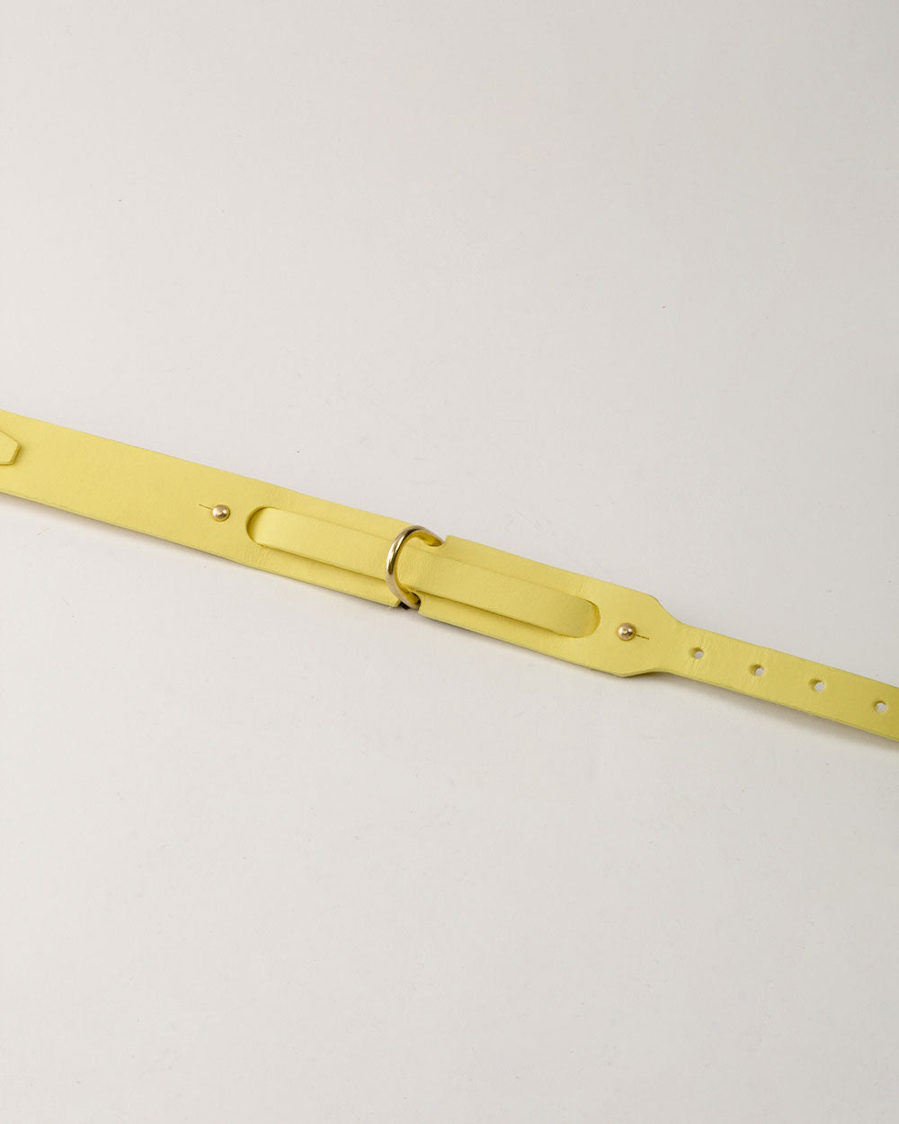 Dog collar · yellow leather · INDÓMITO
