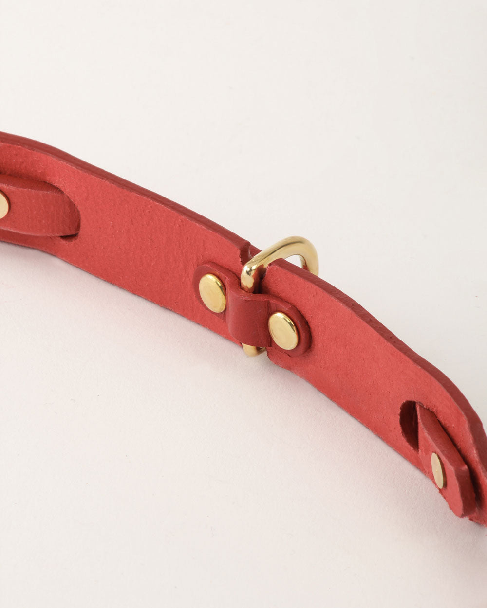 Dog collar · red leather · INDÓMITO