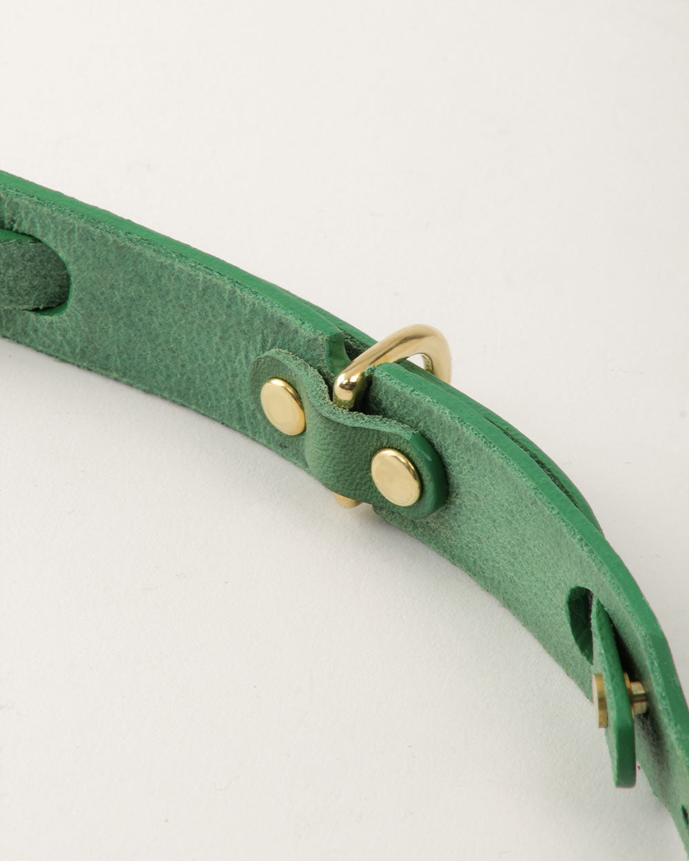 Dog collar · green leather · INDÓMITO