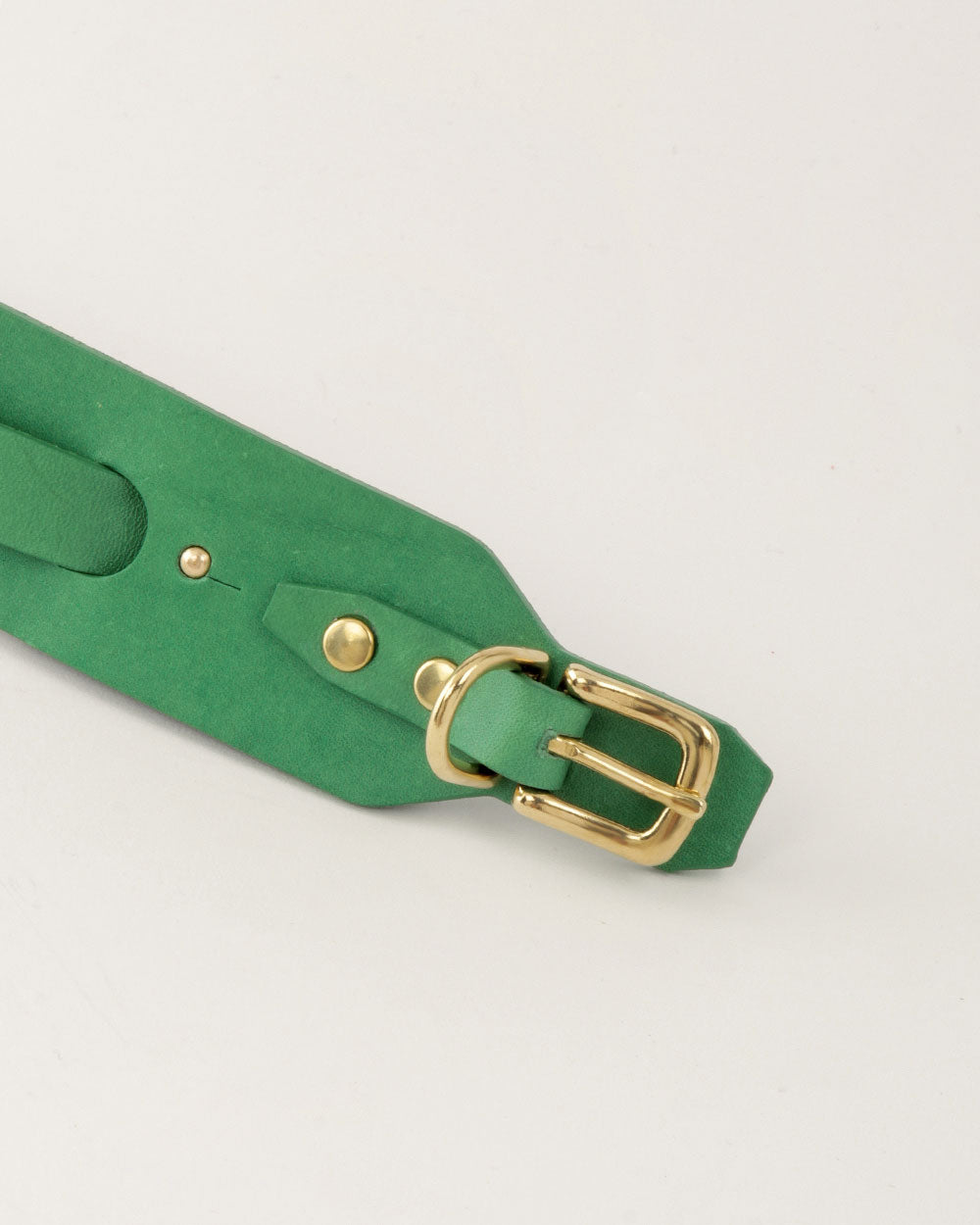 Italian greyhound collar · Whippet · green leather · INDÓMITO