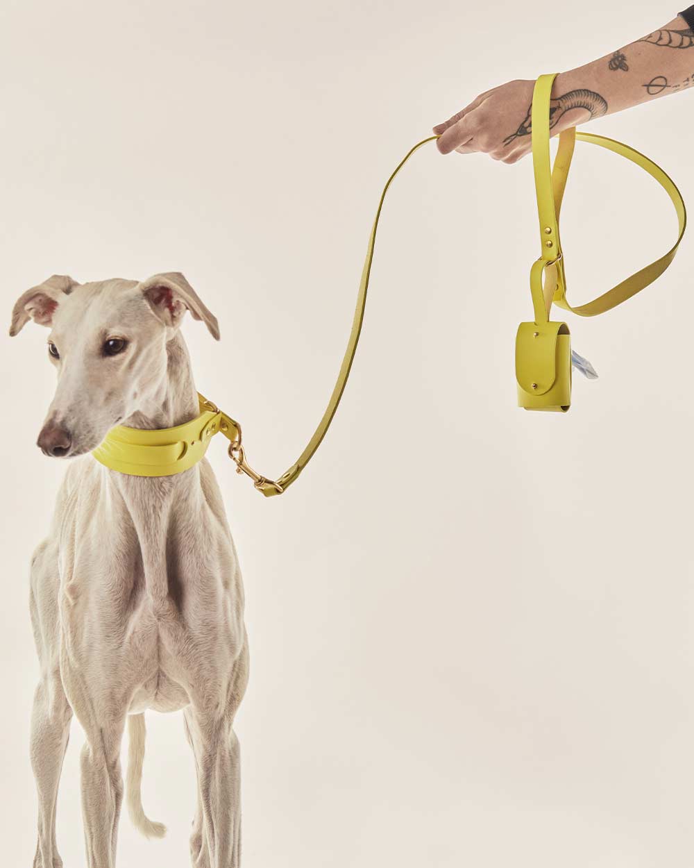 Dog leash · yellow leather · INDÓMITO