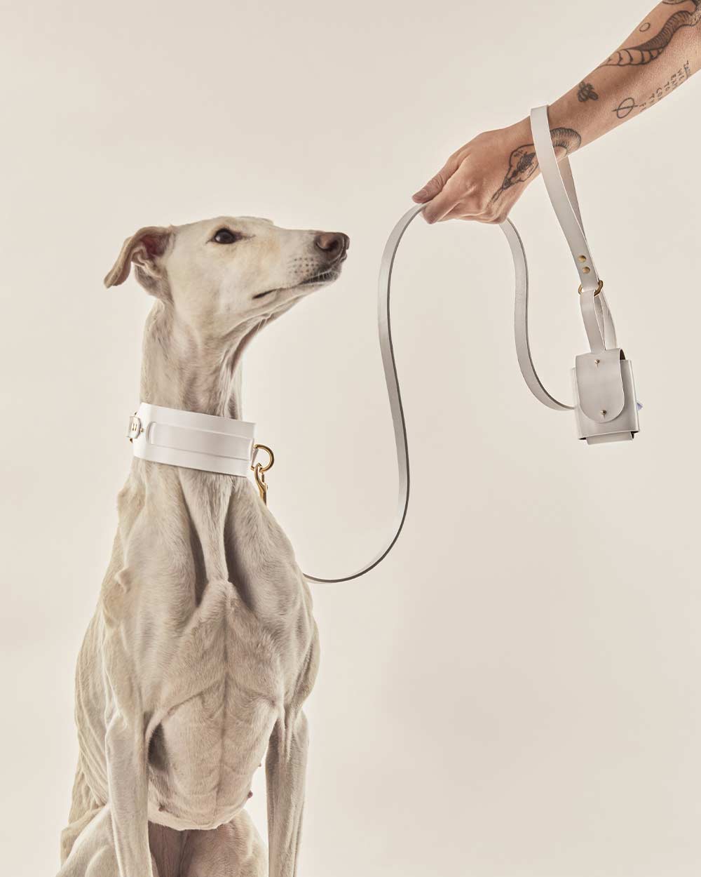 Dog leash · white leather · INDÓMITO