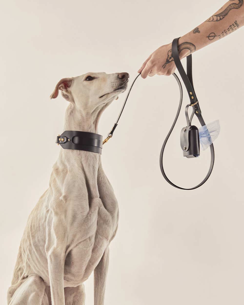 Dog leash · black leather · INDÓMITO