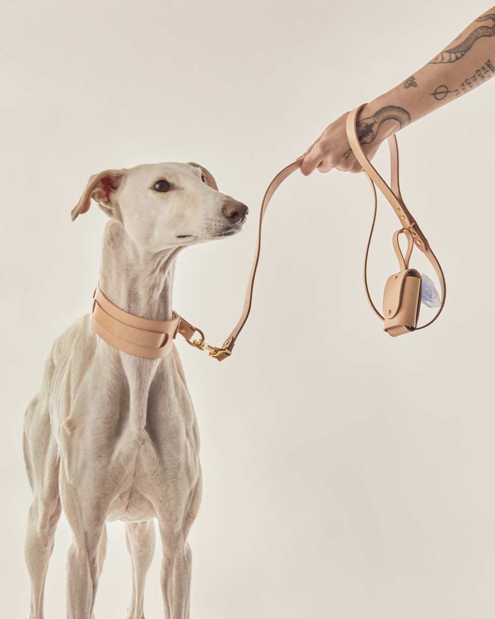 Dog leash · nude leather · INDÓMITO