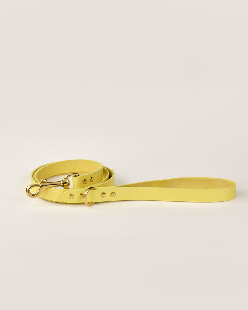 Dog leash · yellow leather · INDÓMITO