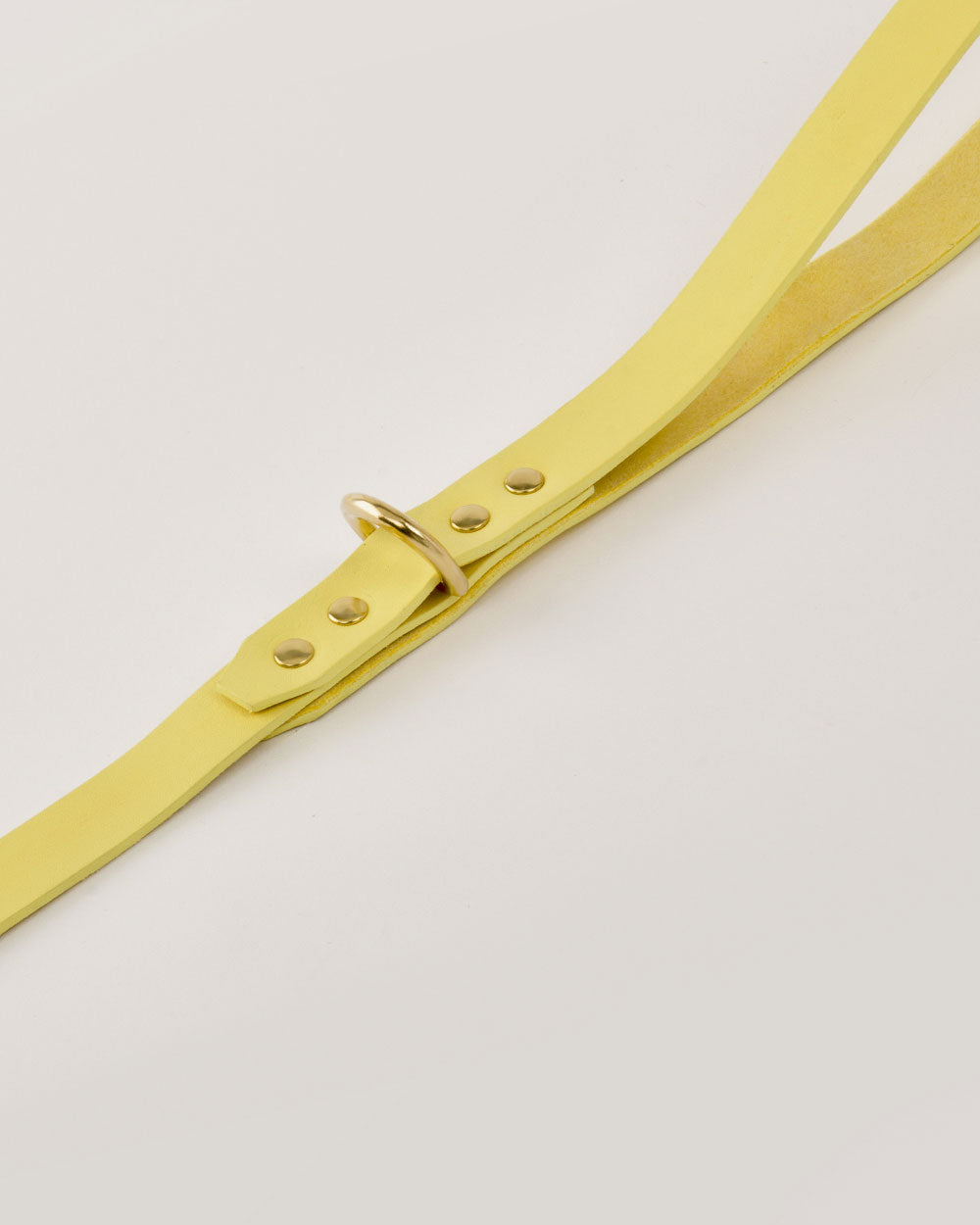 Dog leash · yellow leather · INDÓMITO
