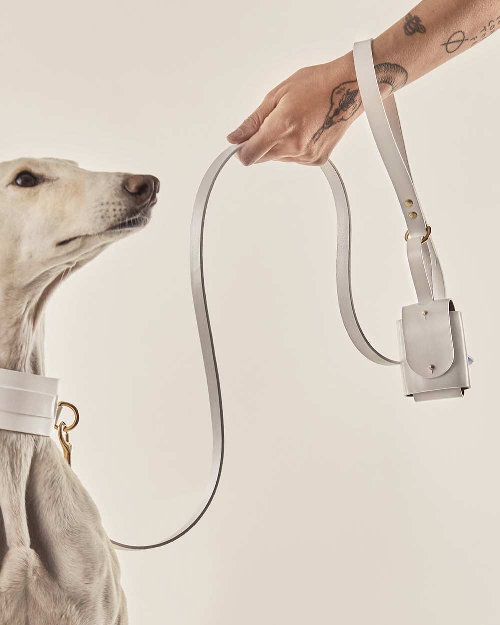 Dog leash · white leather · INDÓMITO