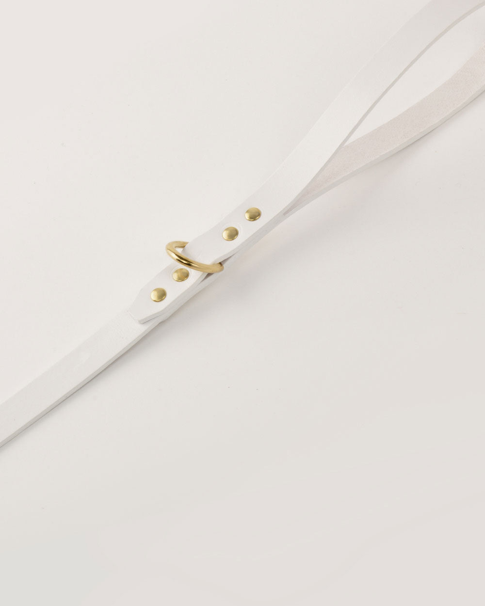 Dog leash · white leather · INDÓMITO