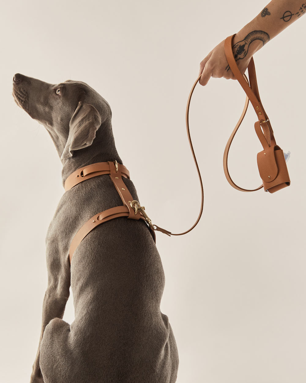 Dog leash · camel leather · INDÓMITO