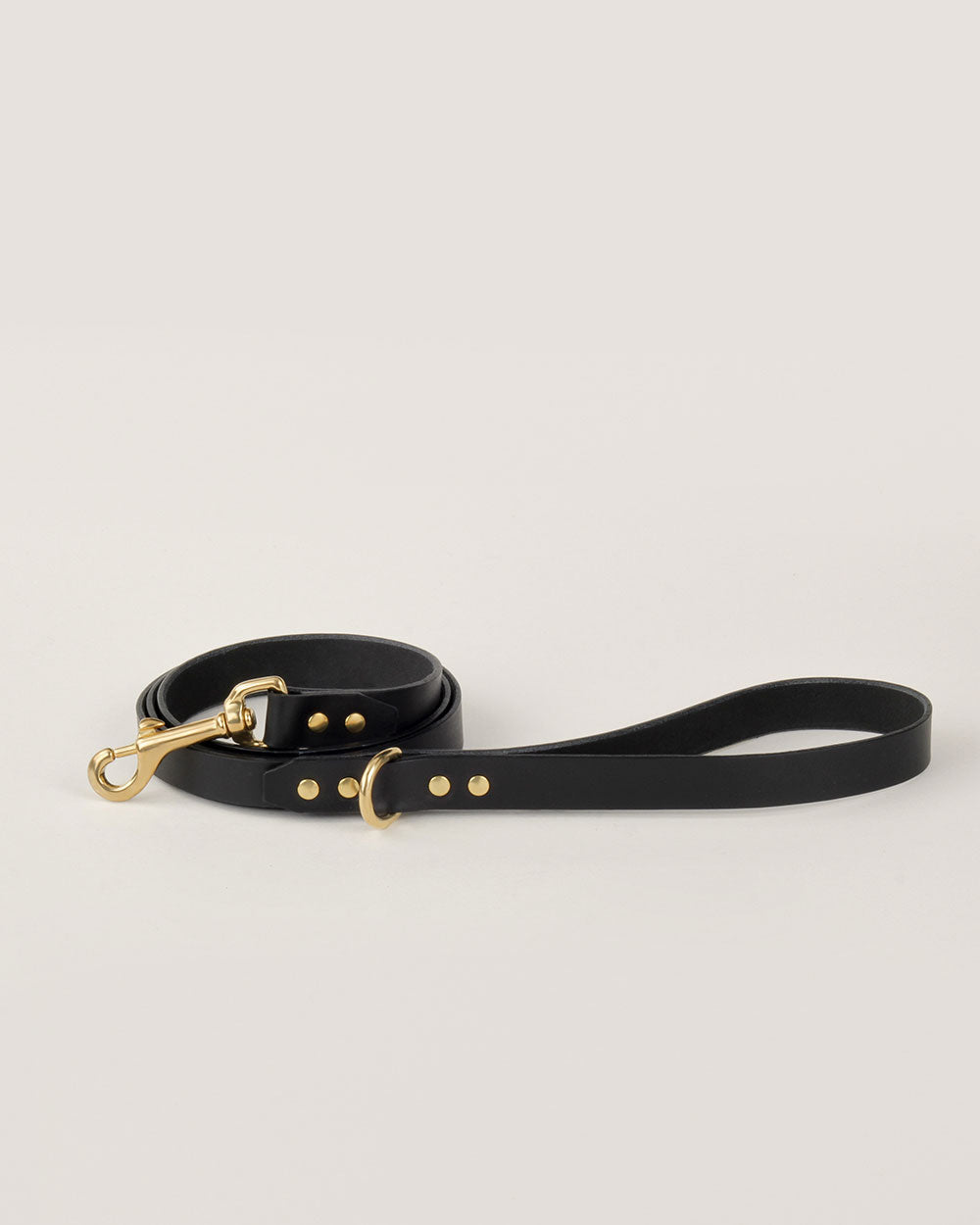 Dog leash · black leather · INDÓMITO