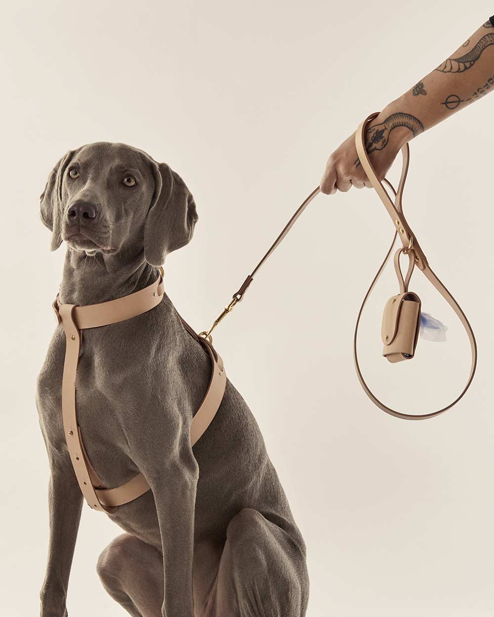 Dog leash · nude leather · INDÓMITO