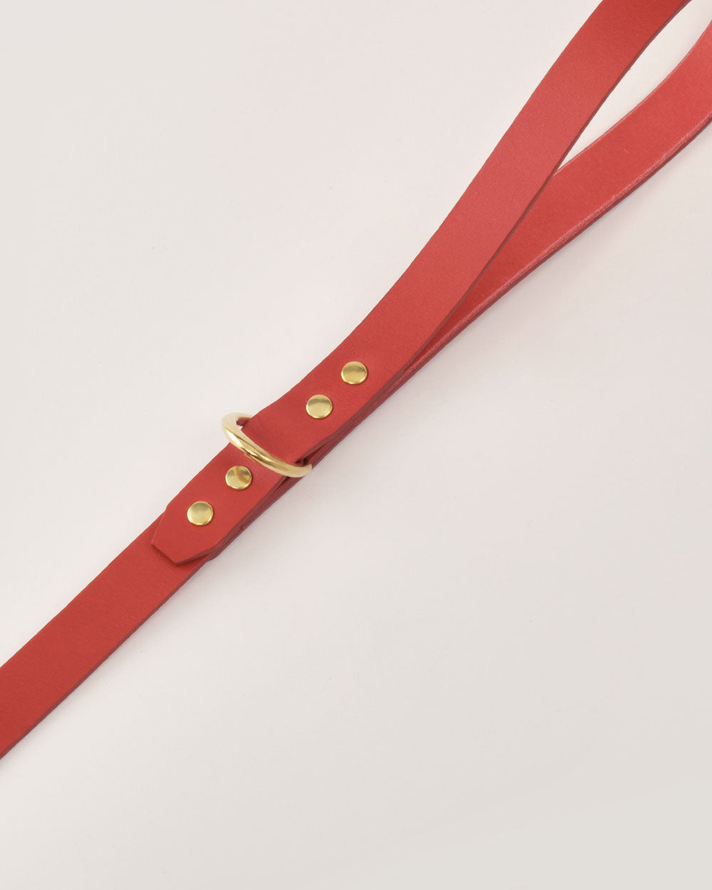 Dog leash · red leather · INDÓMITO