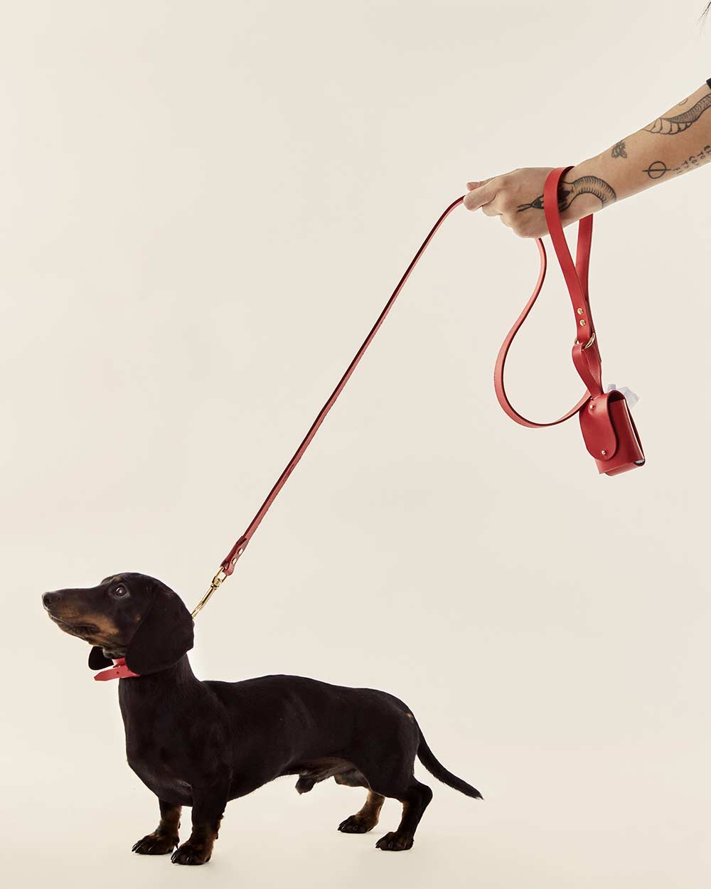 Dog leash · red leather · INDÓMITO
