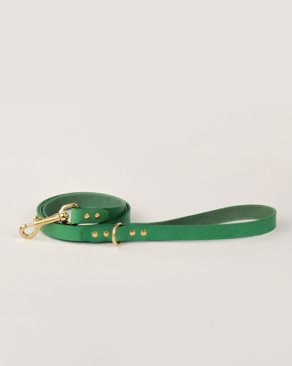 Dog leash · green leather · INDÓMITO