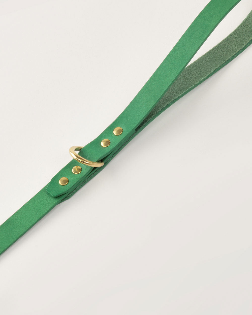 Dog leash · green leather · INDÓMITO