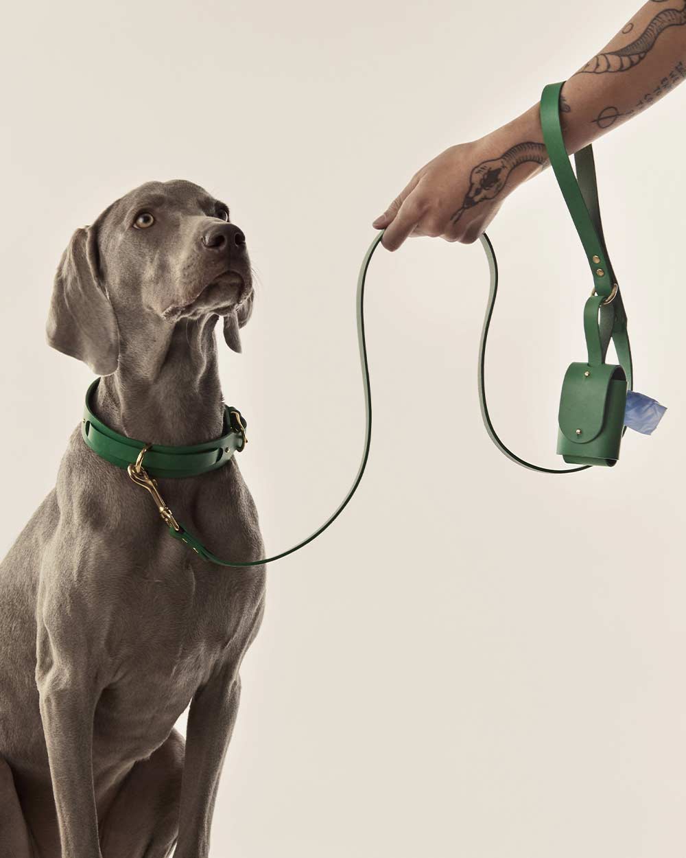 Dog leash · green leather · INDÓMITO