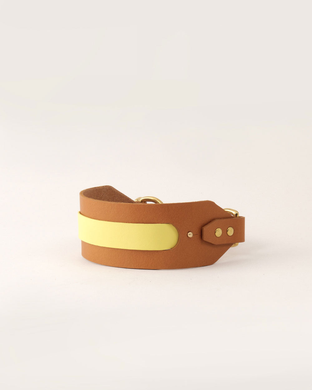Strip greyhound dog collar yellow leather INDÓMITO