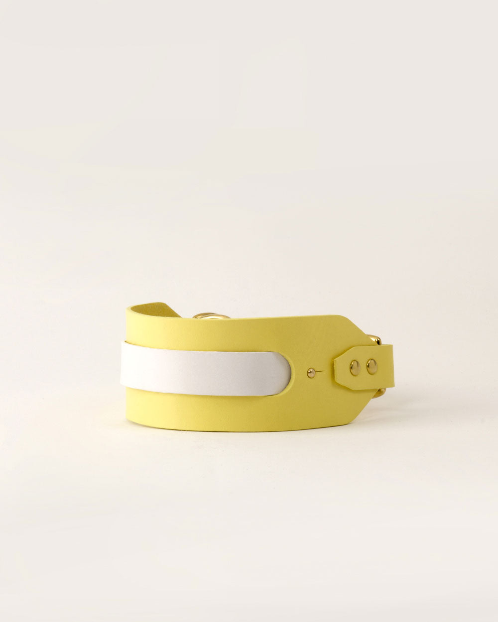 Strip · greyhound dog collar · white leather · INDÓMITO