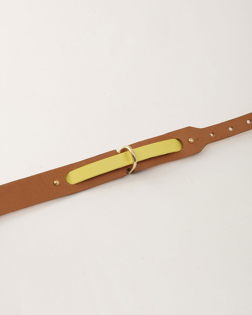 Strip greyhound dog collar yellow leather INDÓMITO