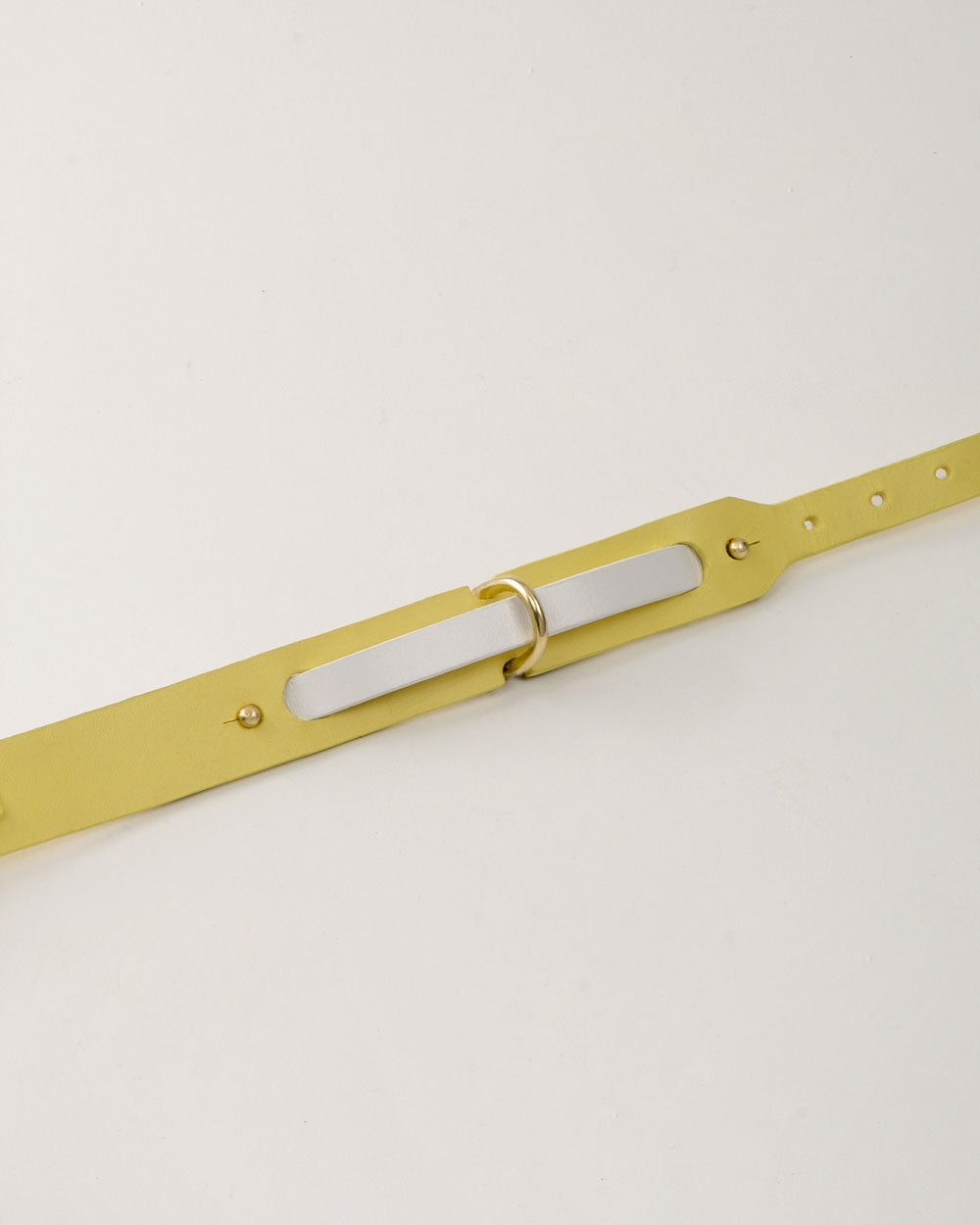Strip · greyhound dog collar · white leather · INDÓMITO