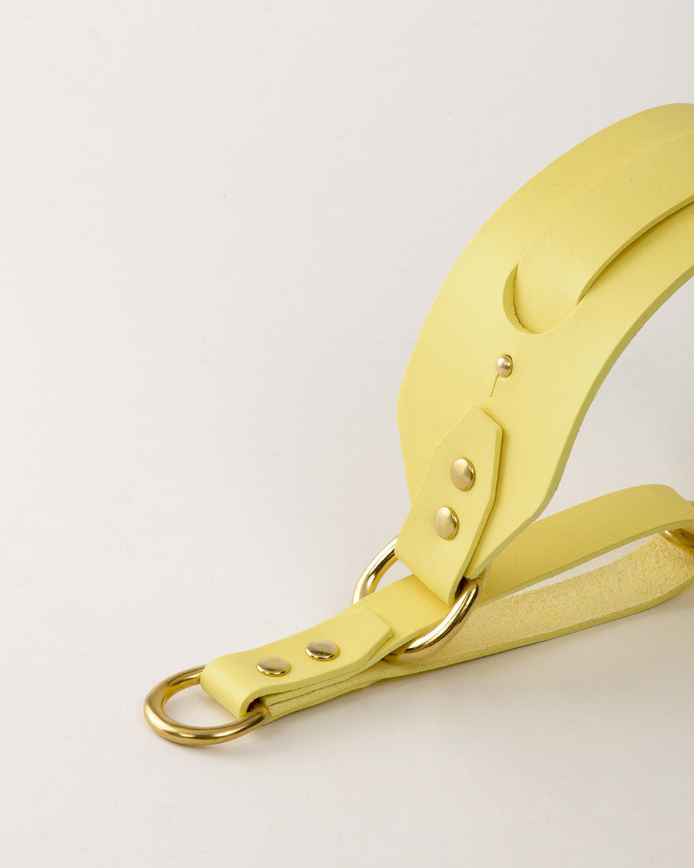 Collar Galgo · Amarillo